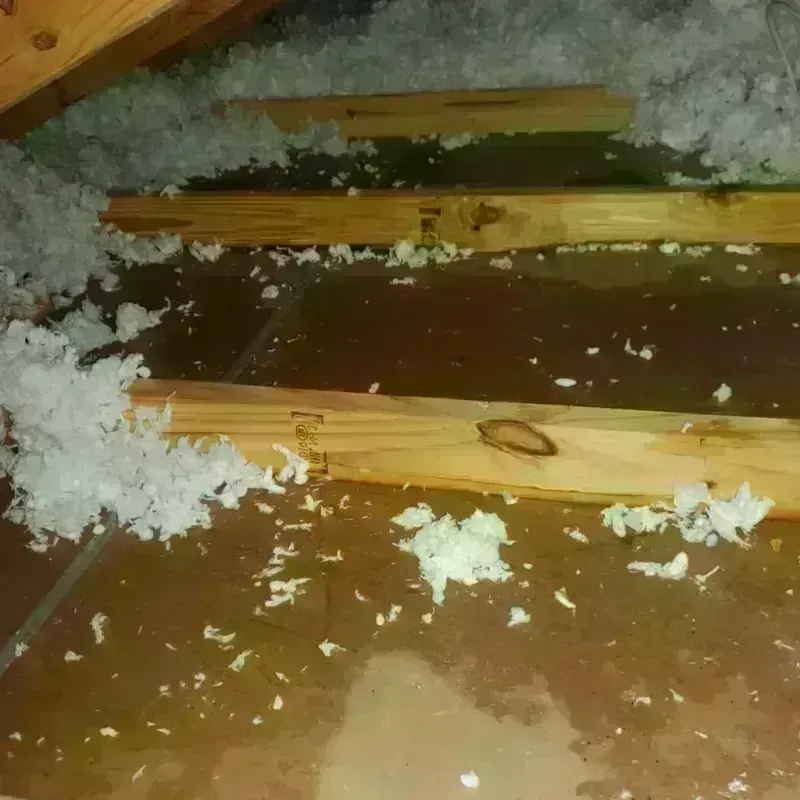 Attic Water Damage in Madison County, OH