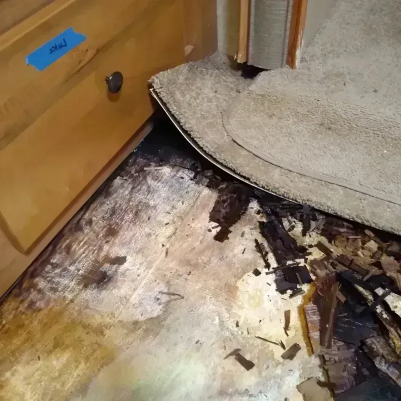 Wood Floor Water Damage in Madison County, OH